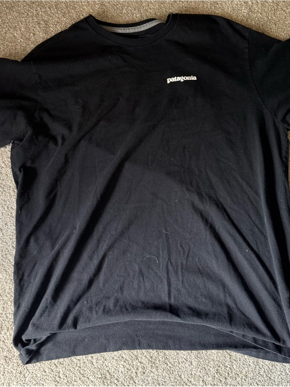 Patagonia Black Crewneck with White Script Logo